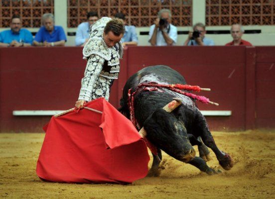 2017, el año de la consolidación