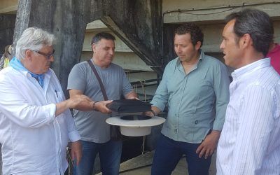 Sorteo de los toros para esta tarde en Eauze