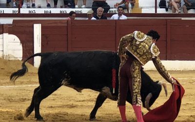 Muy buena corrida la lidiada hoy en Socuéllamos con un tono de vuelta ruedo y cuatro de muy alta nota