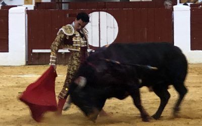 Panfrito, premio al mejor toro de Socuéllamos