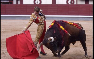 Cerramos temporada lidiando un toro en Madrid