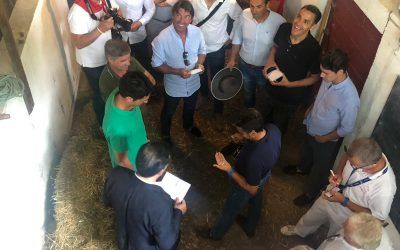 Sorteo y Orden de lidia Saint Vincent Tyrosse