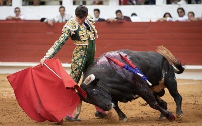 Alguna fotos que nos regalan de la tarde en Saint Vincent de Tyrosse
