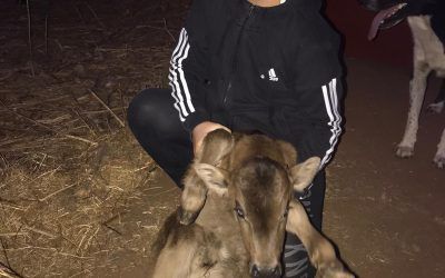 Es especial nuestra gente de campo