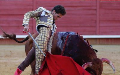 Resumen temporada 2019 José Luis Pereda-La Dehesilla. Ir en el camino correcto.