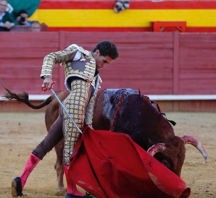 Resumen temporada 2019 José Luis Pereda-La Dehesilla. Ir en el camino correcto.