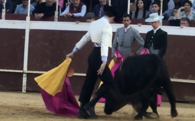 Gerena. Iniciamos temporada de buena manera. Tres rabos de cuatro novillos