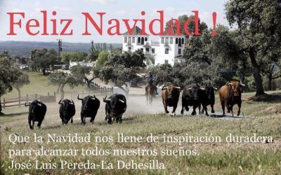 Feliz Navidad.