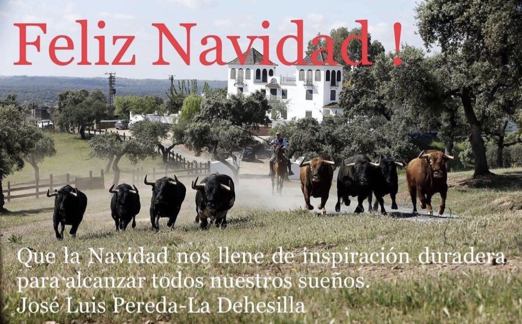 Feliz Navidad.