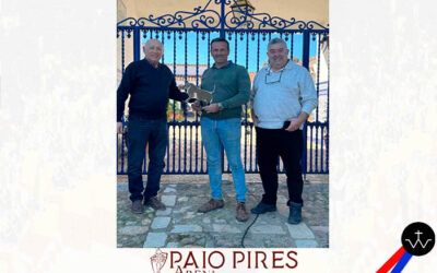 ‘Premio a la Bravura’ al toro de José Luis Pereda en la ‘Corrida de Concurso’ de la localidad portuguesa de Paio Pires