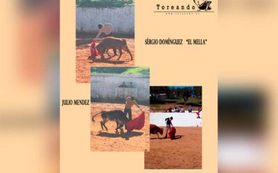 (Tentadero en La Dehesilla) Los alumnos de la Escuela de Tauromaquia de Badajoz siguen con su preparación.