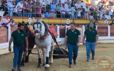 Mérida, 26 de abril: Excelente corrida de José Luis Pereda, tanto en presentación como en juego, destacando del conjunto el tercero, ‘Bulería’, premiado con la vuelta al ruedo
