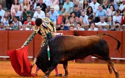 Importante encierro de José Luis Pereda en la ‘Gran Final’ del Circuito de Novilladas con Picadores de Andalucía celebrada en la Real Maestranza